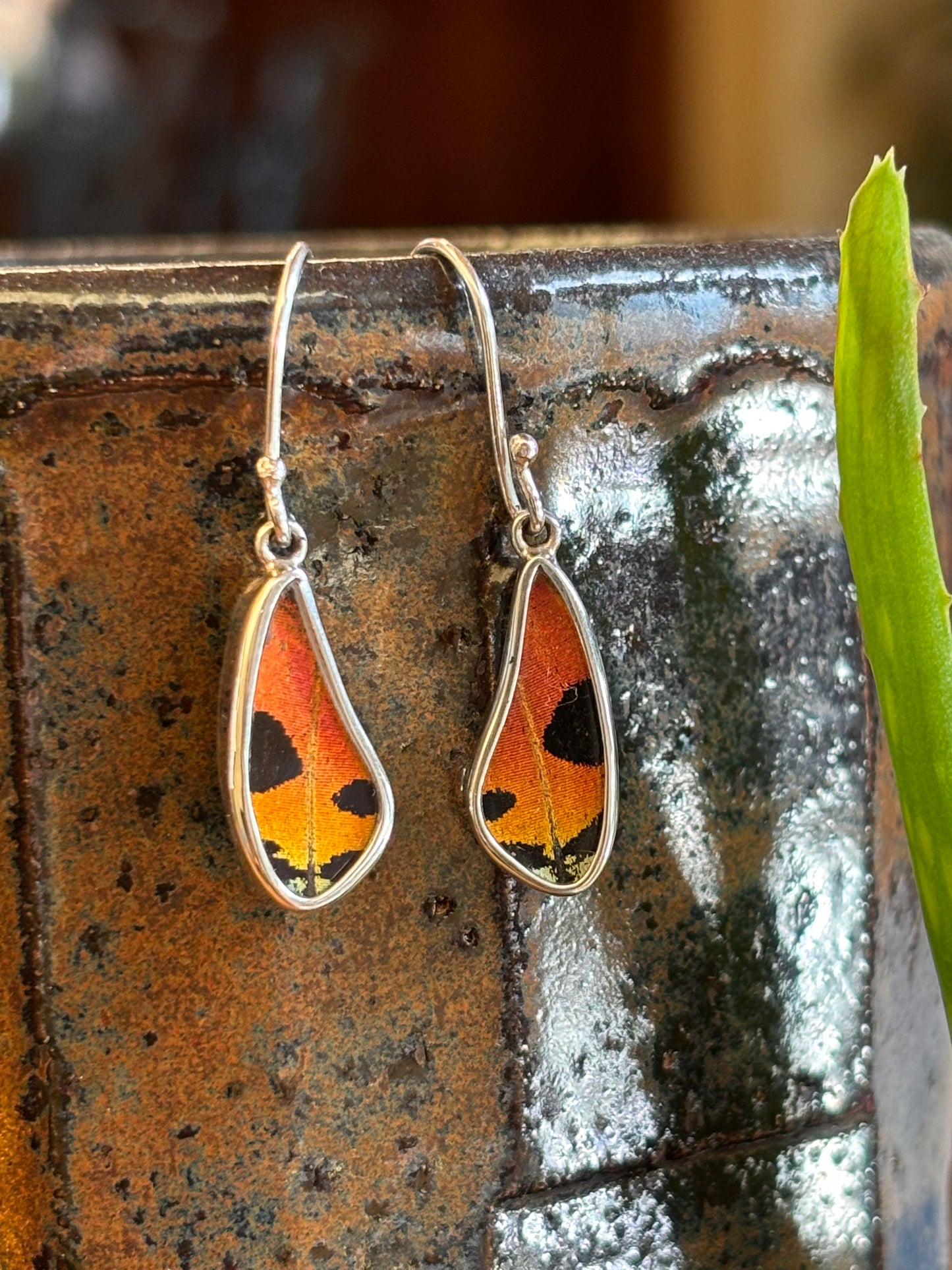 Butterfly Wing Earrings