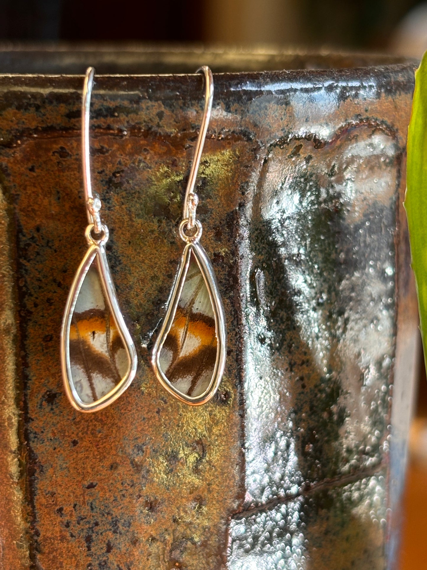 Butterfly Wing Earrings