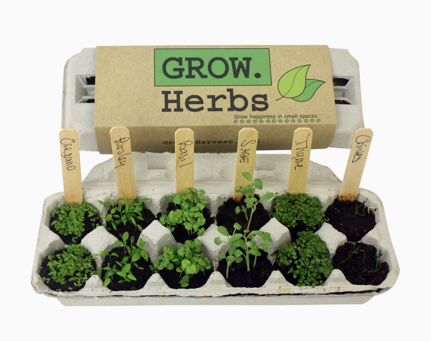 Herb Garden Grow Kit