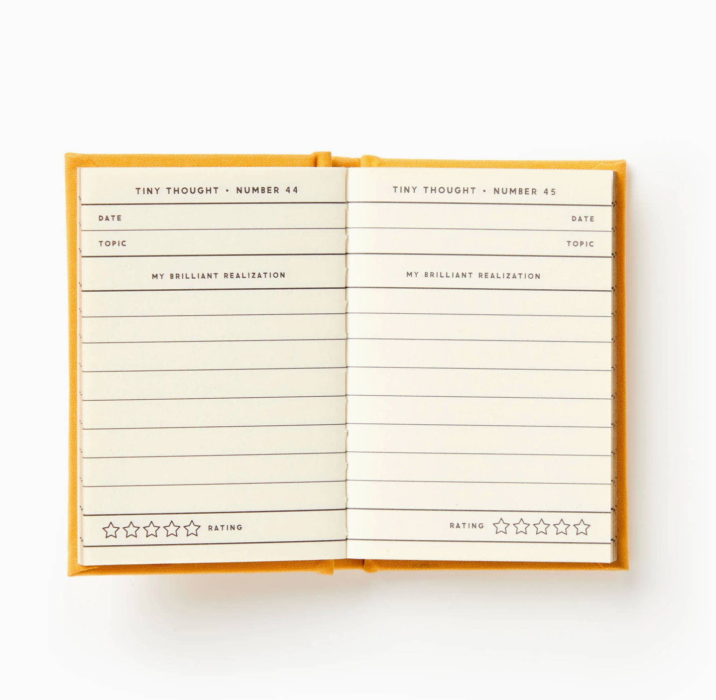 A Tiny Diary For Tiny Thoughts