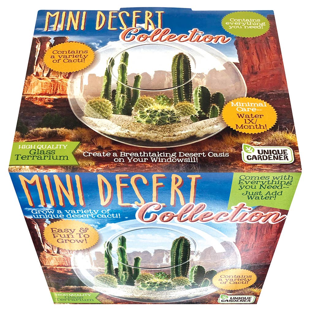 Mini Desert Collection Glass Terrarium