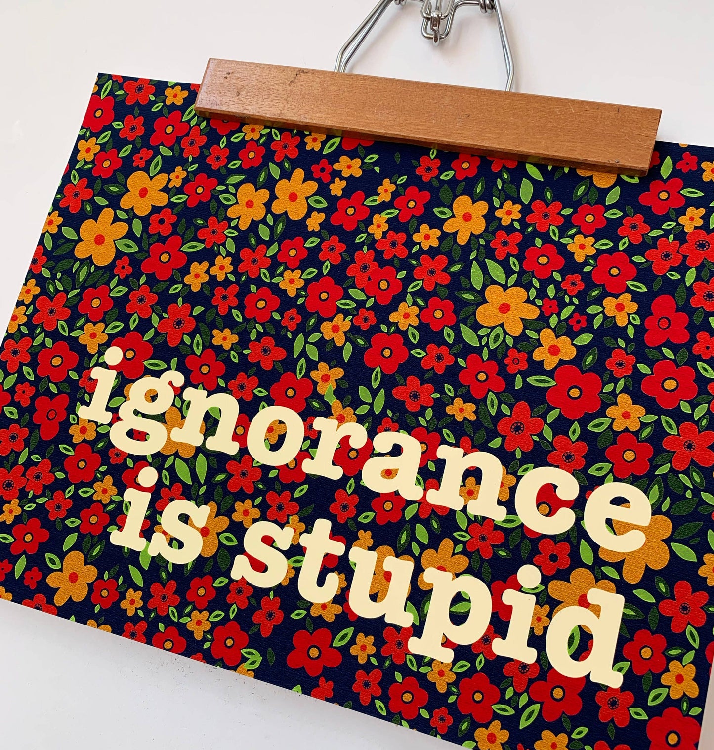 Ignorance Is Stupid - 11 X 14 Print