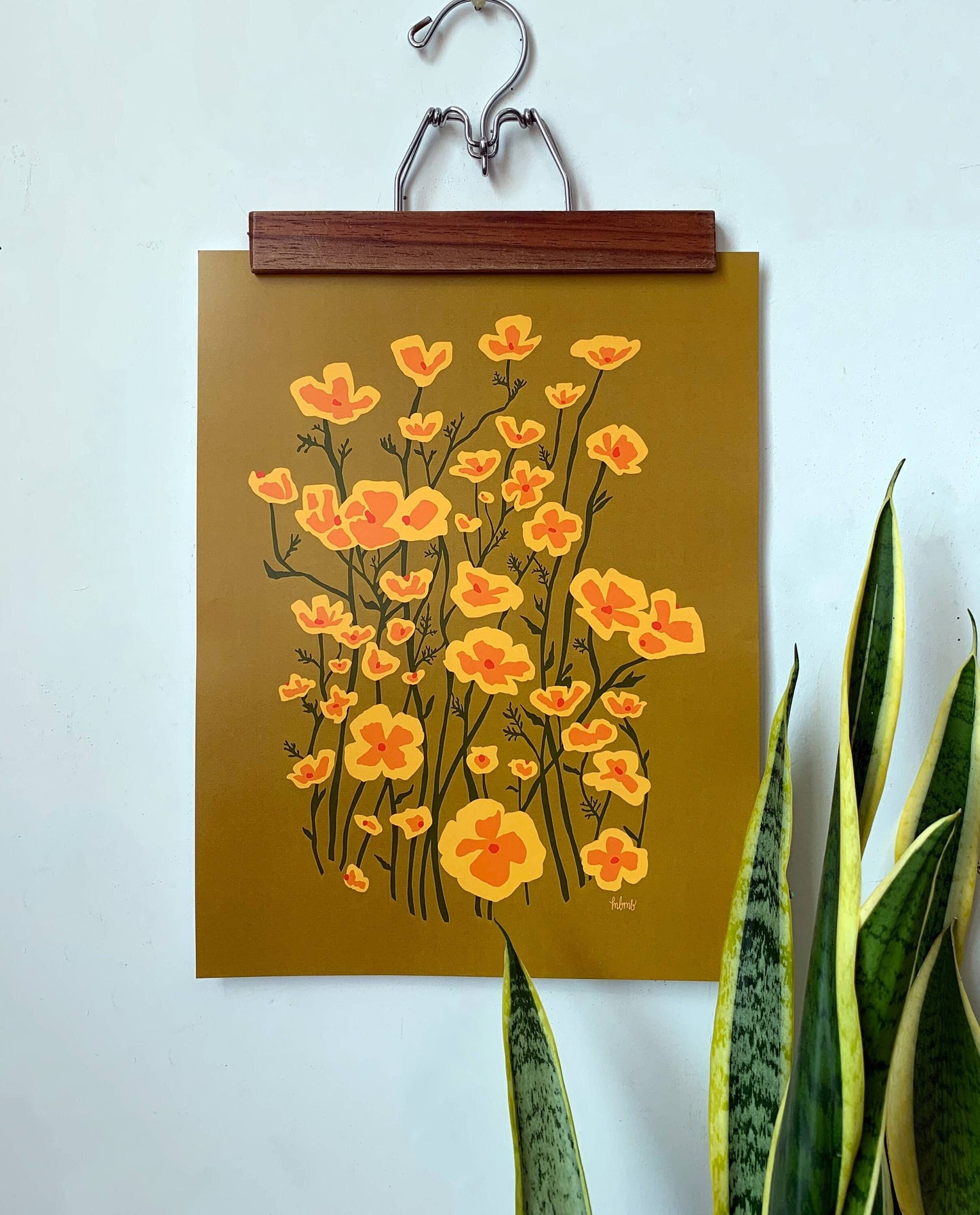 Poppies-11 X 14 Print