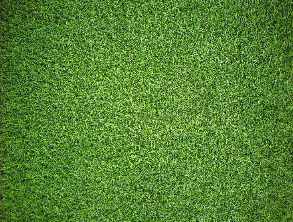 Natural Grass 1000 Piece Jigsaw Puzzle