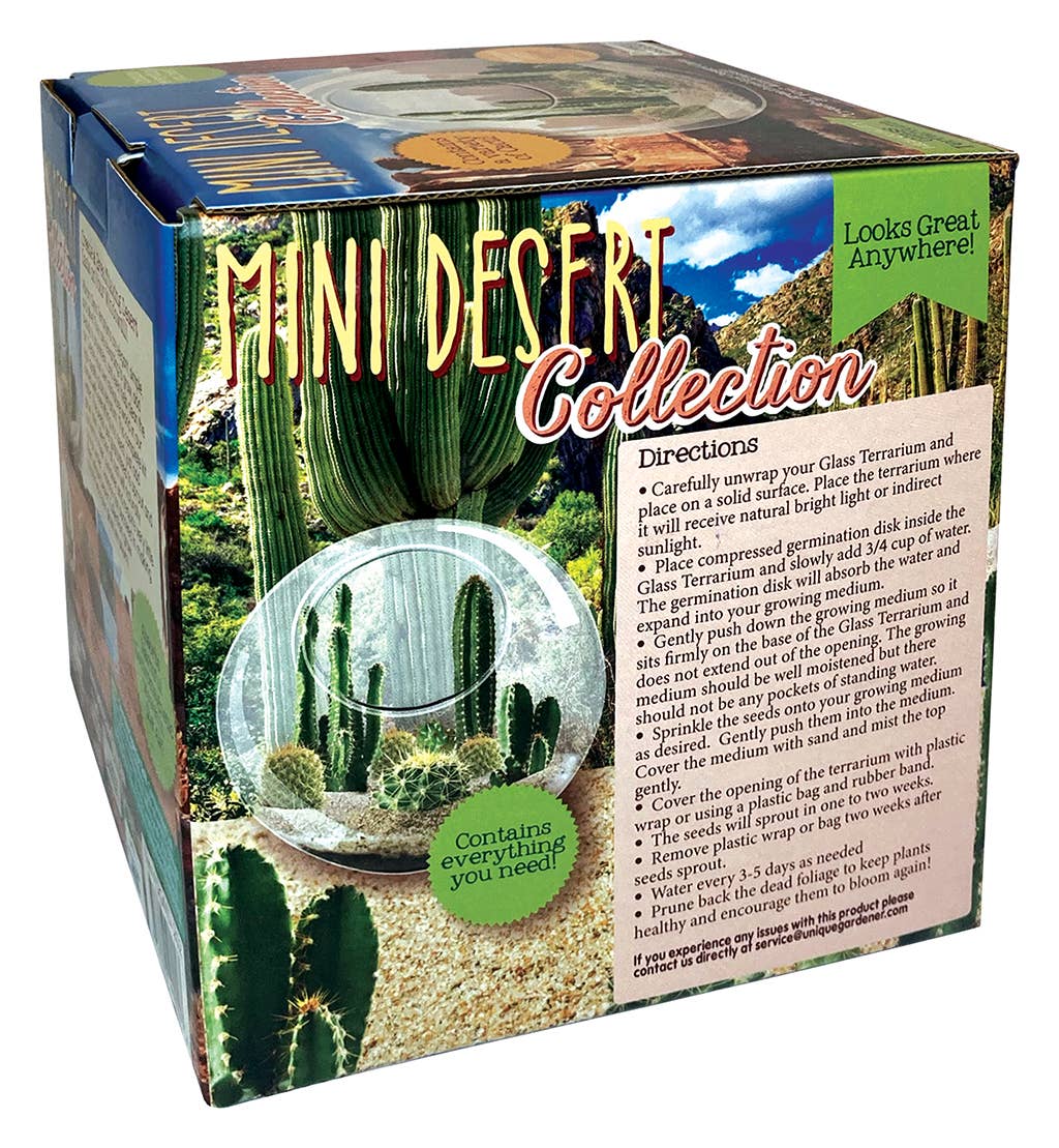 Mini Desert Collection Glass Terrarium