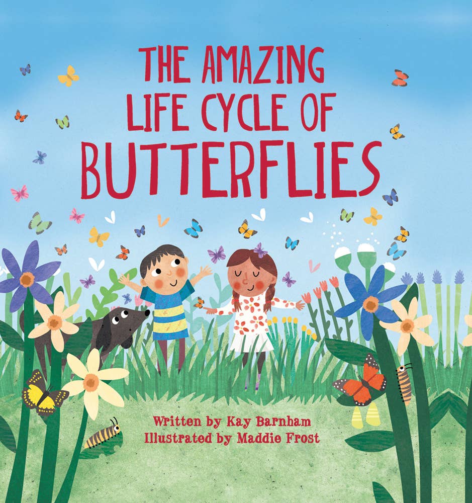 Amazing Life Cycle of Butterflies