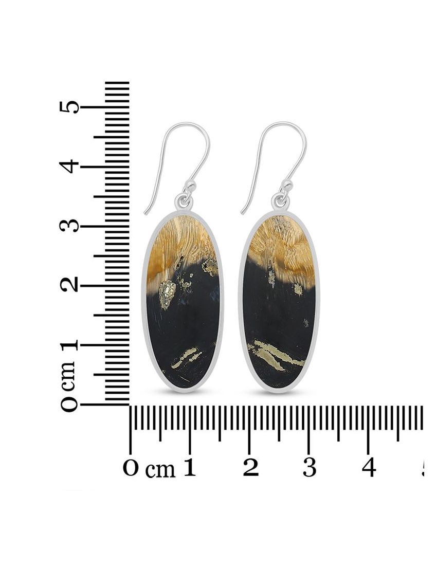 Petrified Palm Wood Earrings