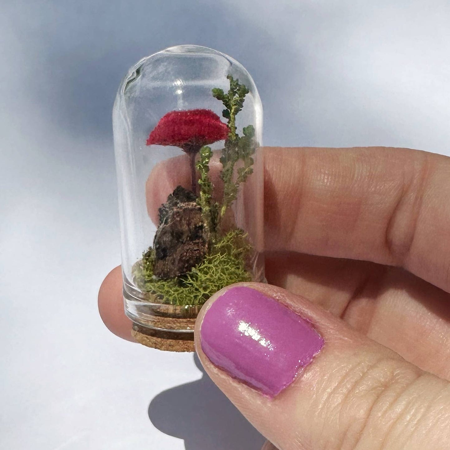 Mushroom Fields Mini Terrarium Desk Decor With Dried Florals