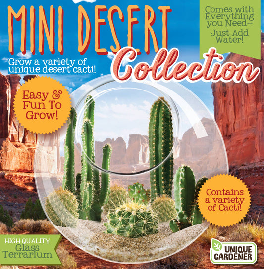 Mini Desert Collection Glass Terrarium