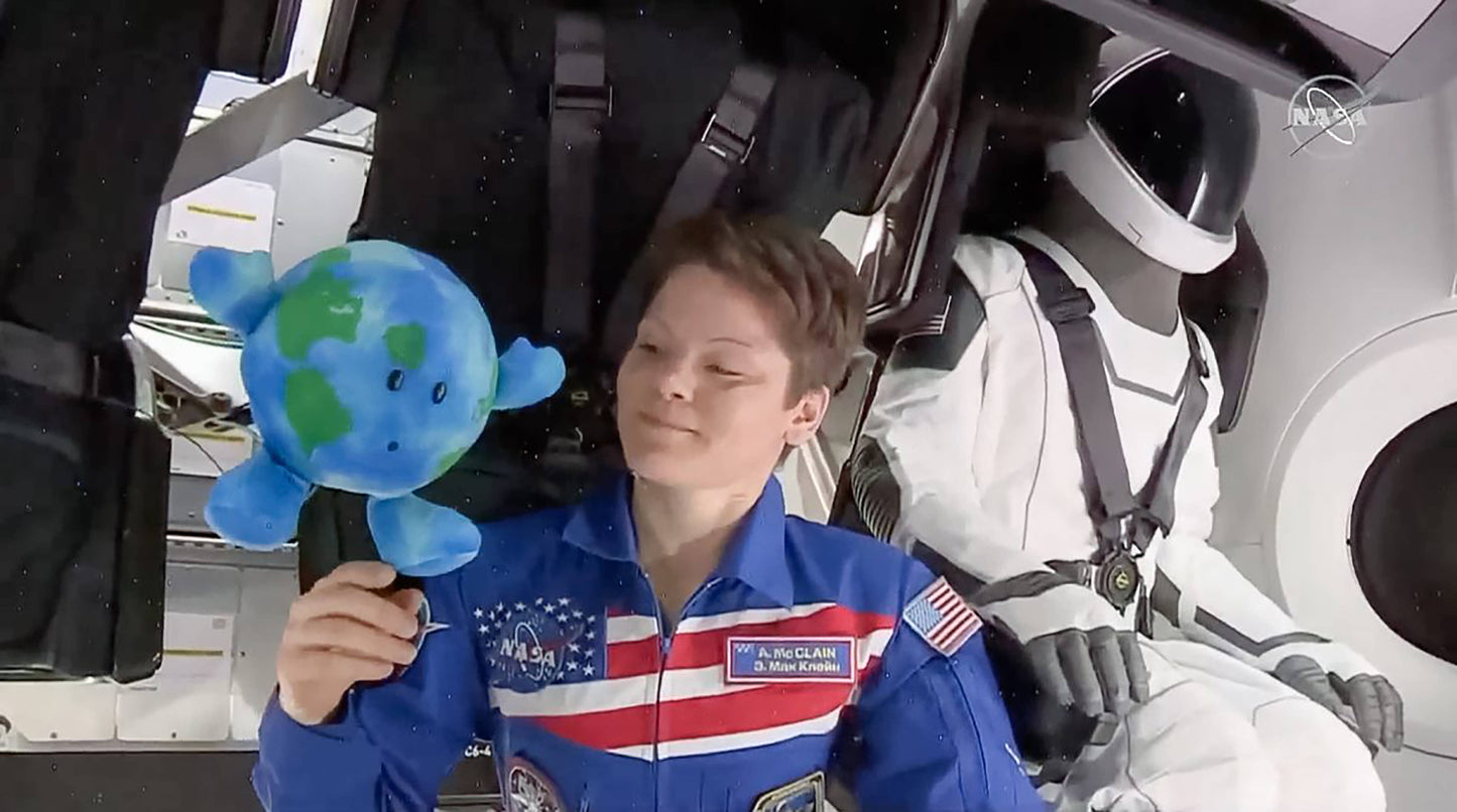 Little Earth Buddy Planetary Plush