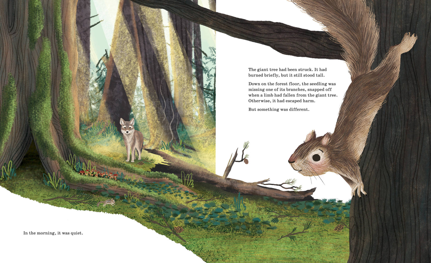 Listen to the Language of the Trees