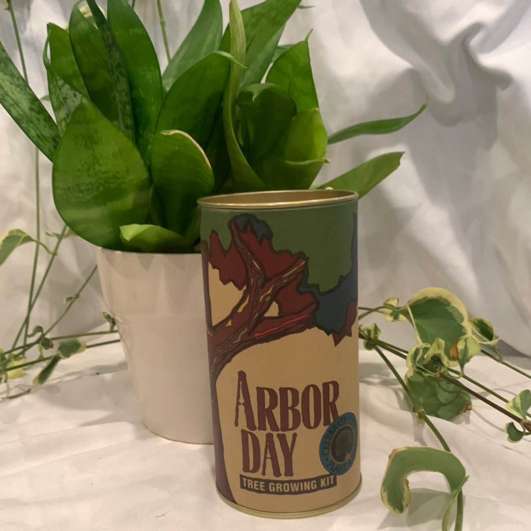 Arbor Day - Tree Growing Kit