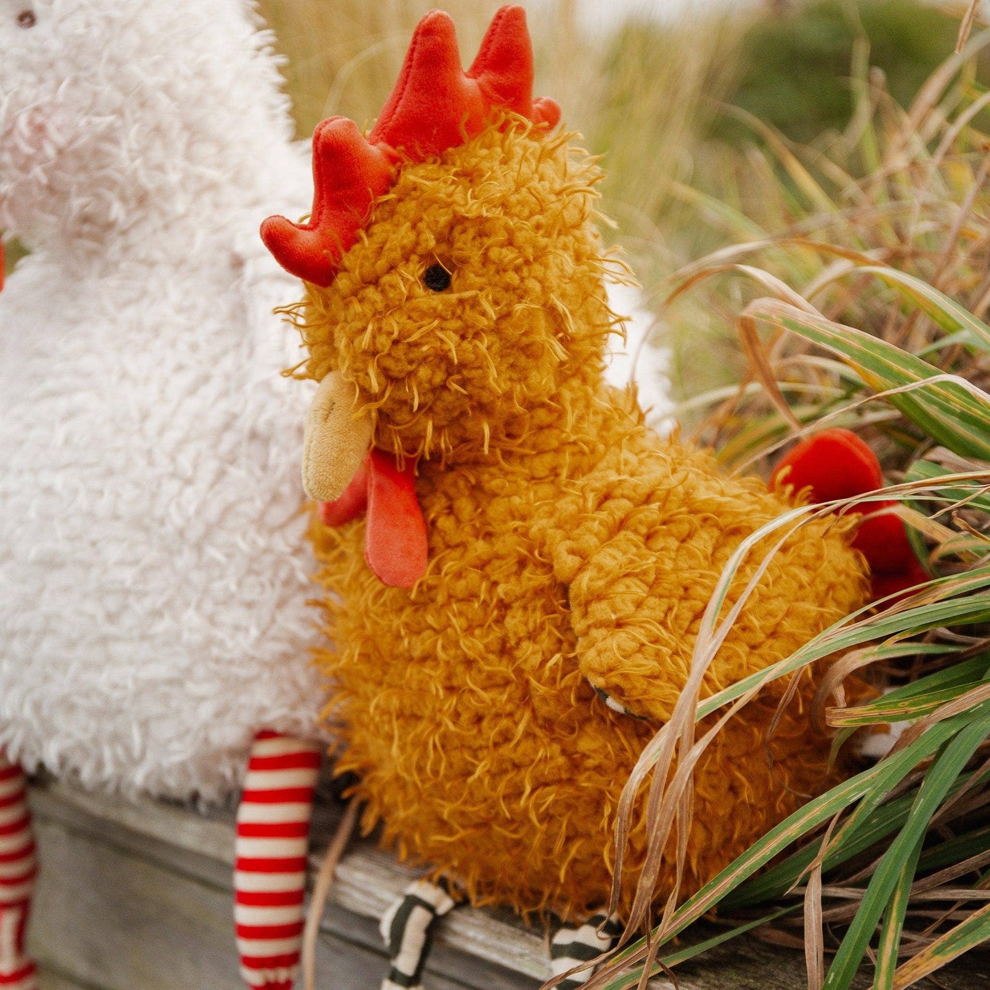 Randy The Rooster