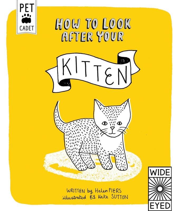 How to Look After Your Kitten