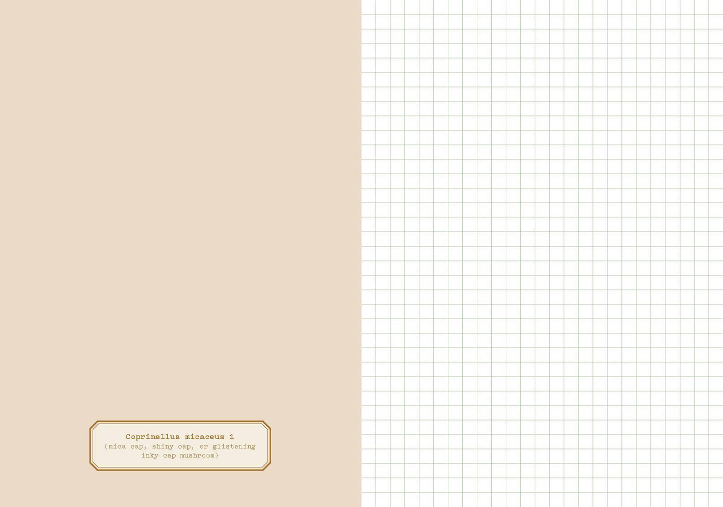 Deep Dark Forest Mushroom Journal