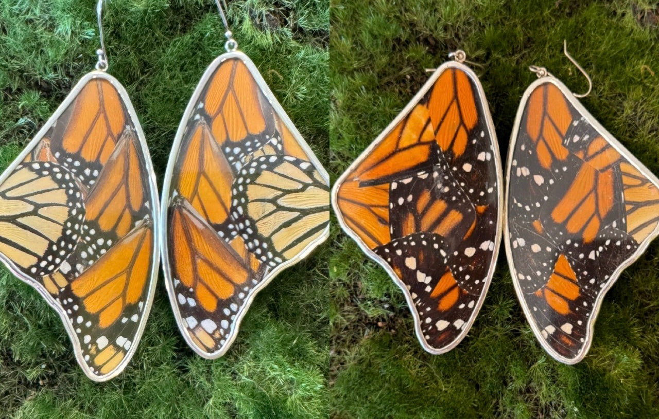 Butterfly Wing Earrings