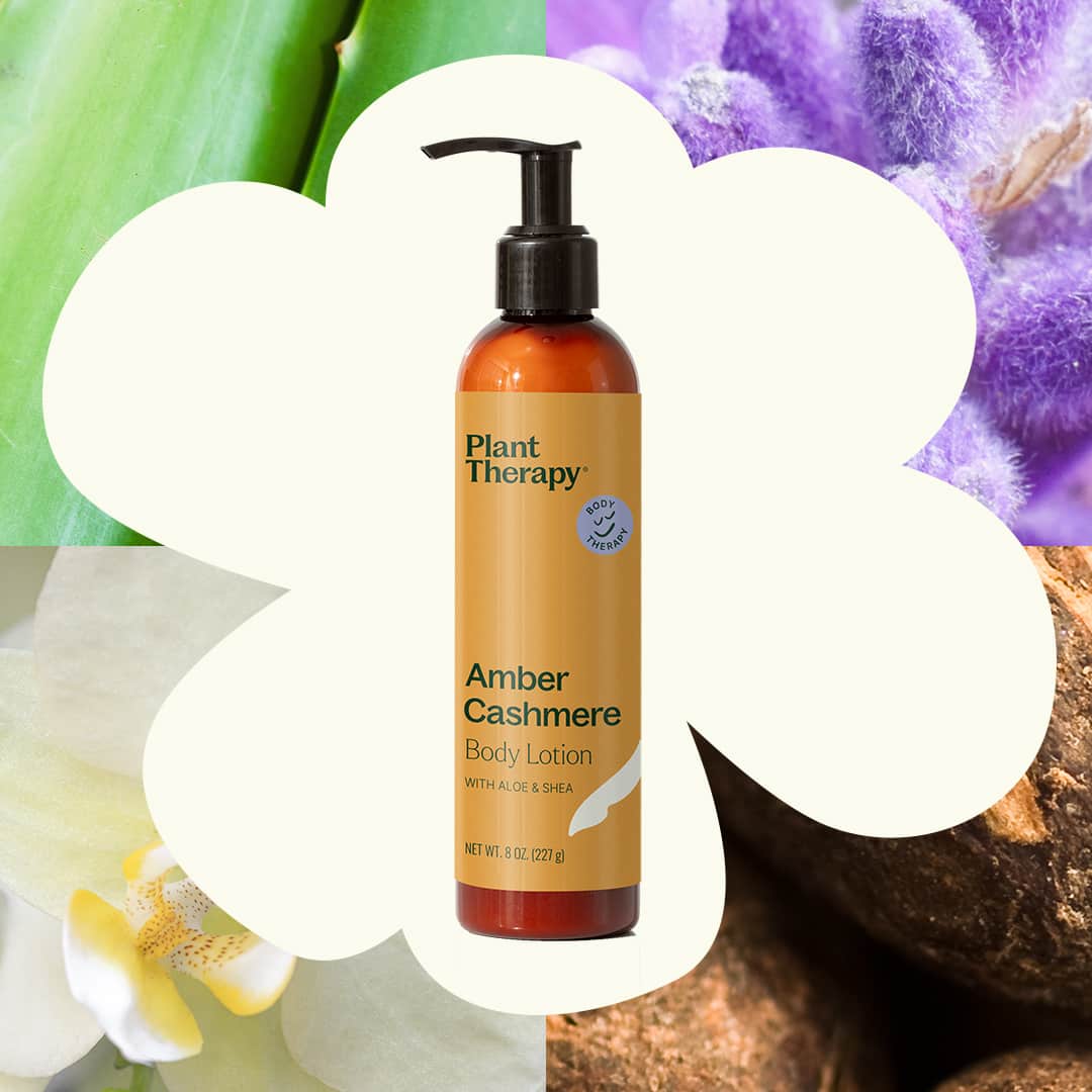 Amber Cashmere Body Lotion with Aloe and Shea 8oz