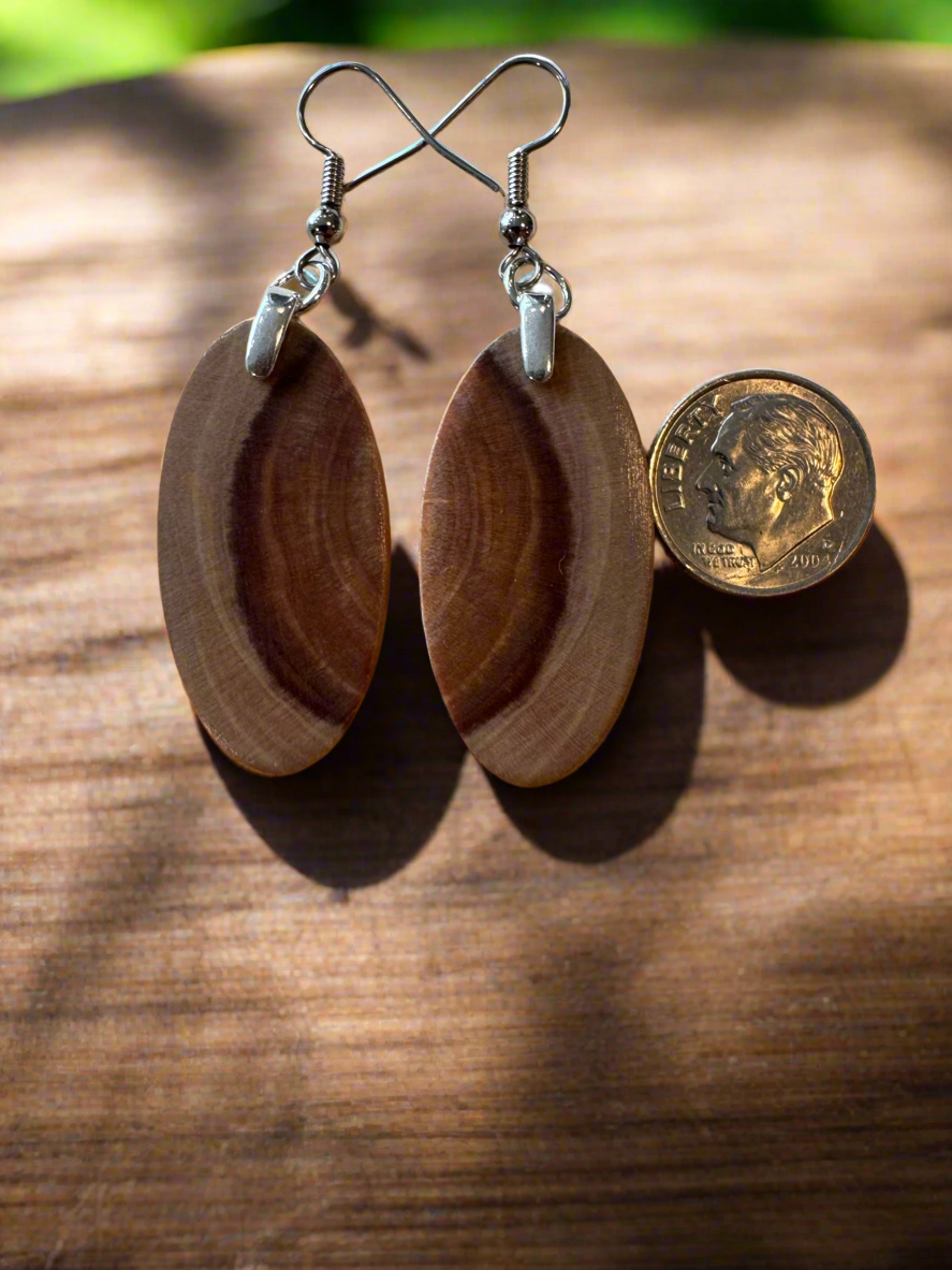 Handcrafted Wood & Resin Earrings