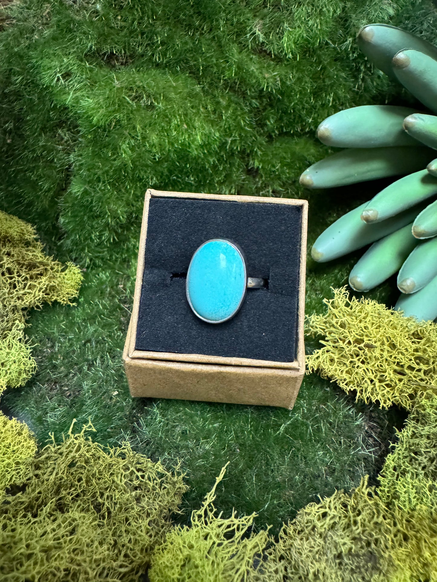 Turquoise Ring | Size 6