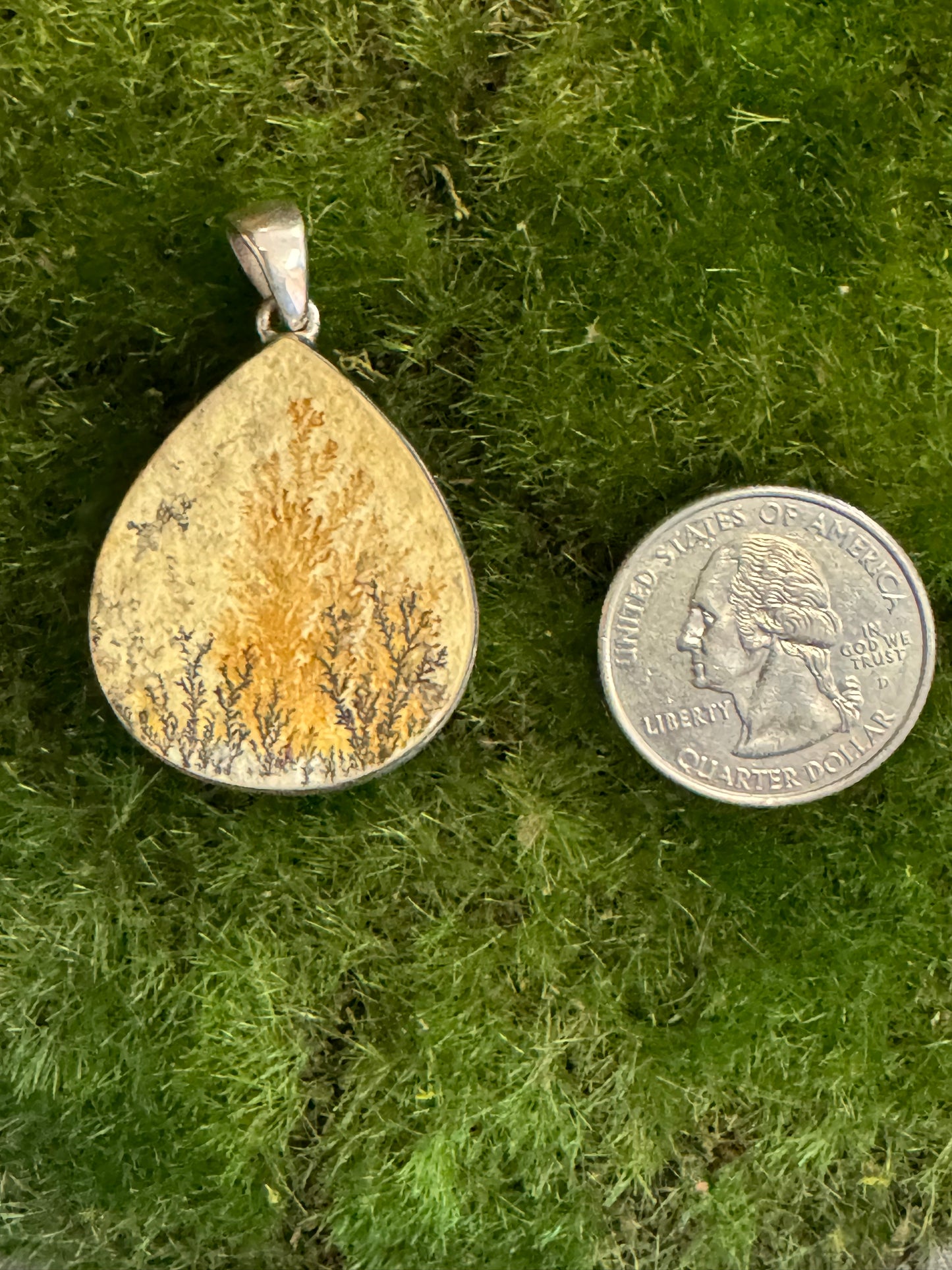 Psilomelane Dendrite Pendant