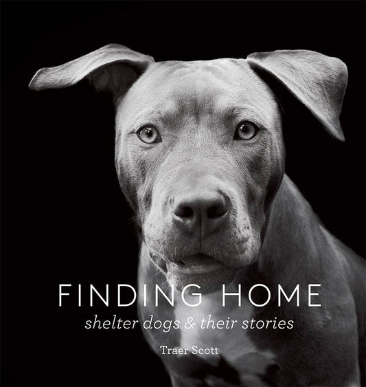 Finding Home Book