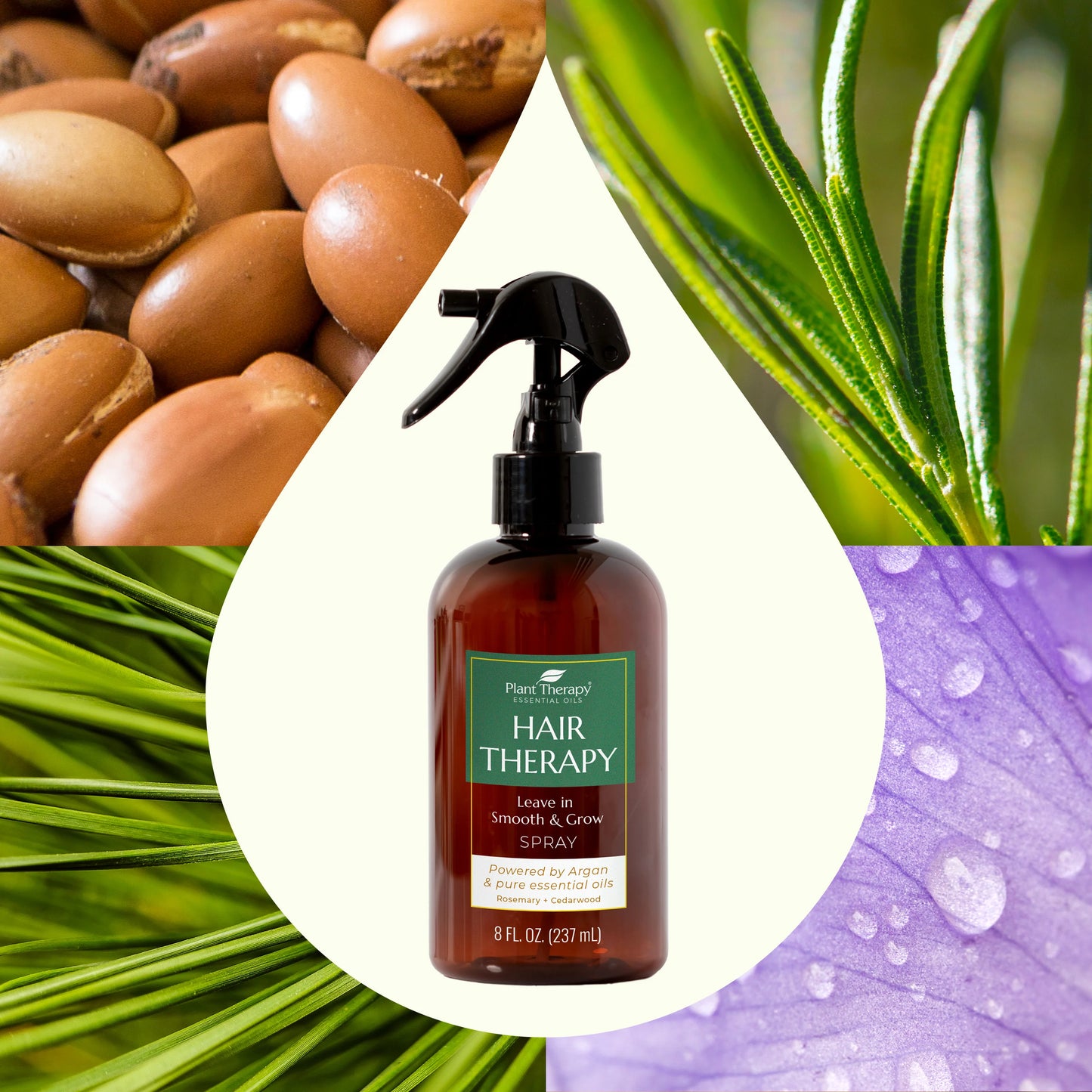 Hair Therapy Leave in Smooth & Grow Spray | Plant Therapy