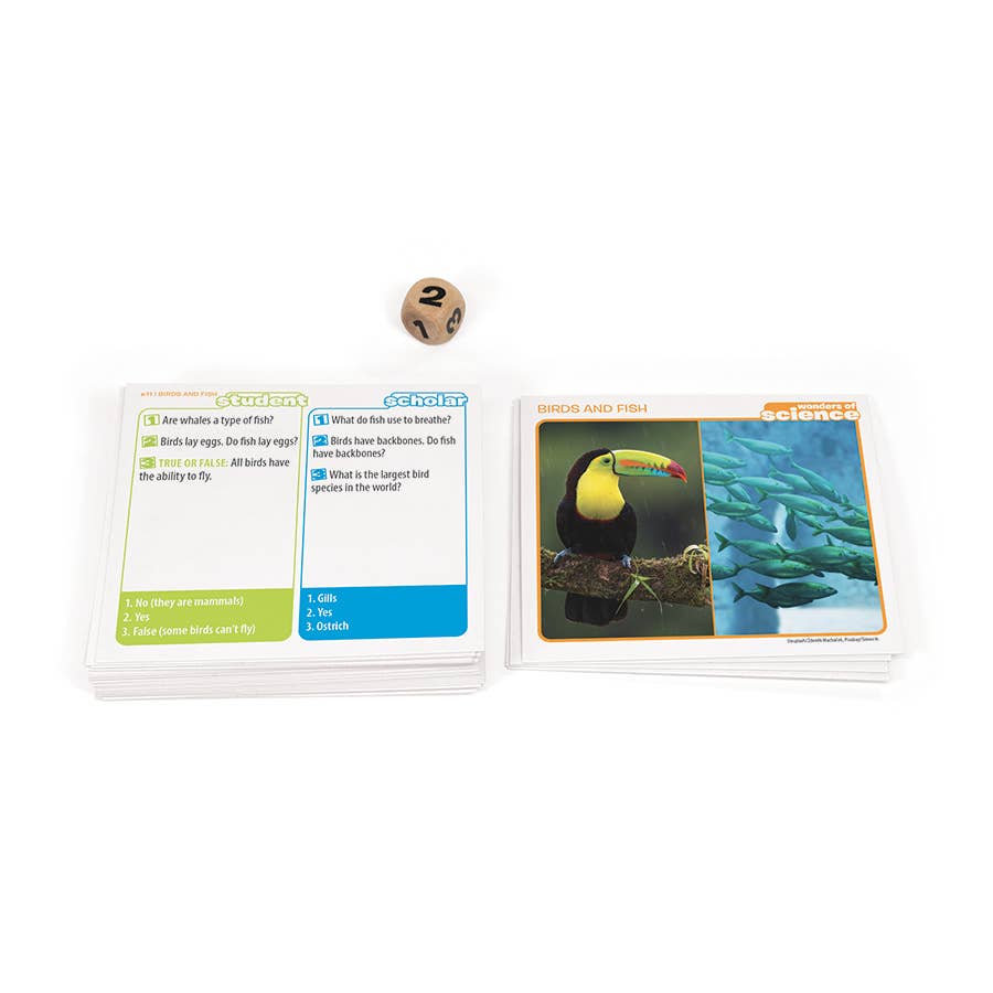 Prof. Noggin Wonders of Science Card Game