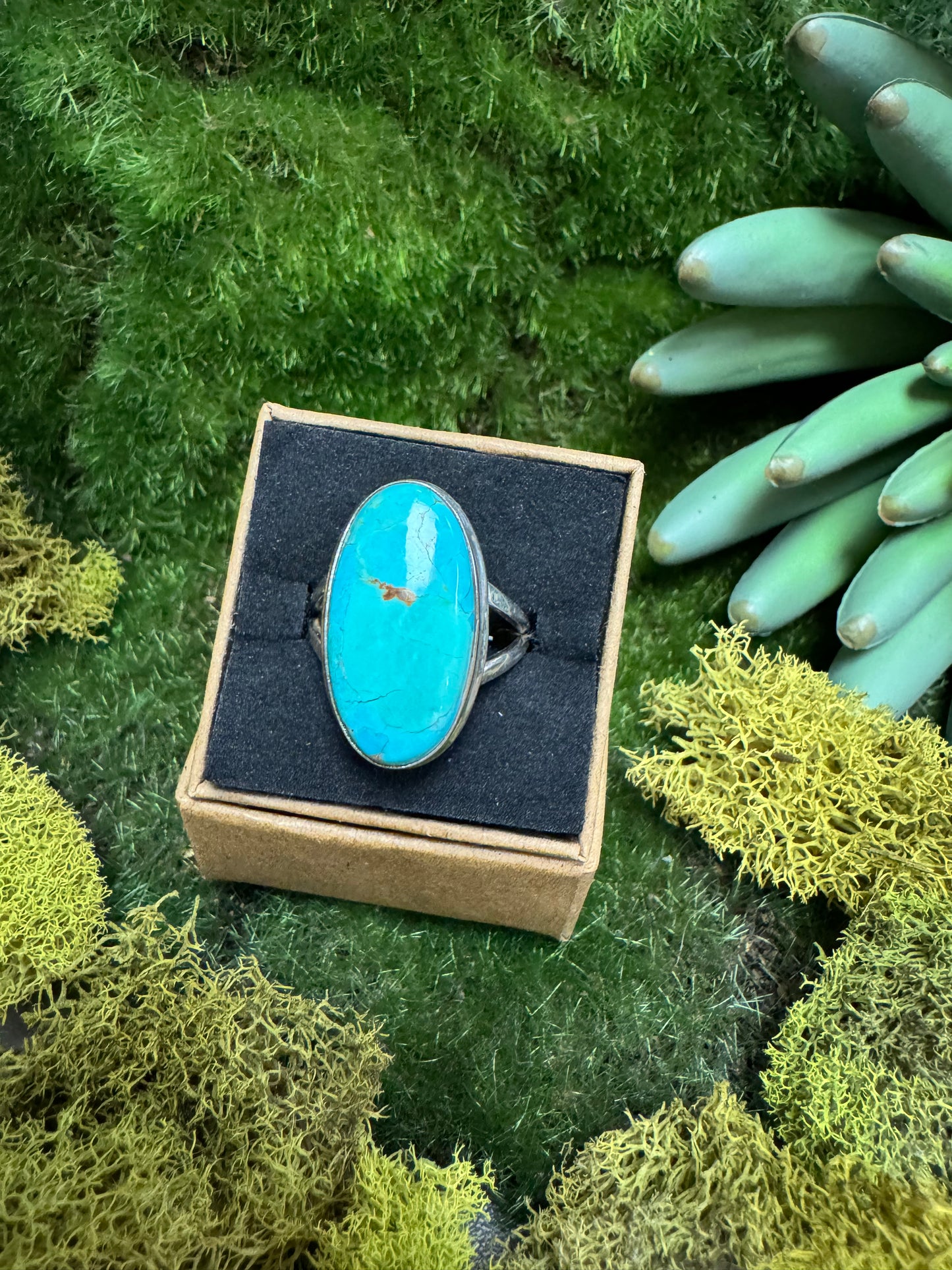 Turquoise Ring | Size 10