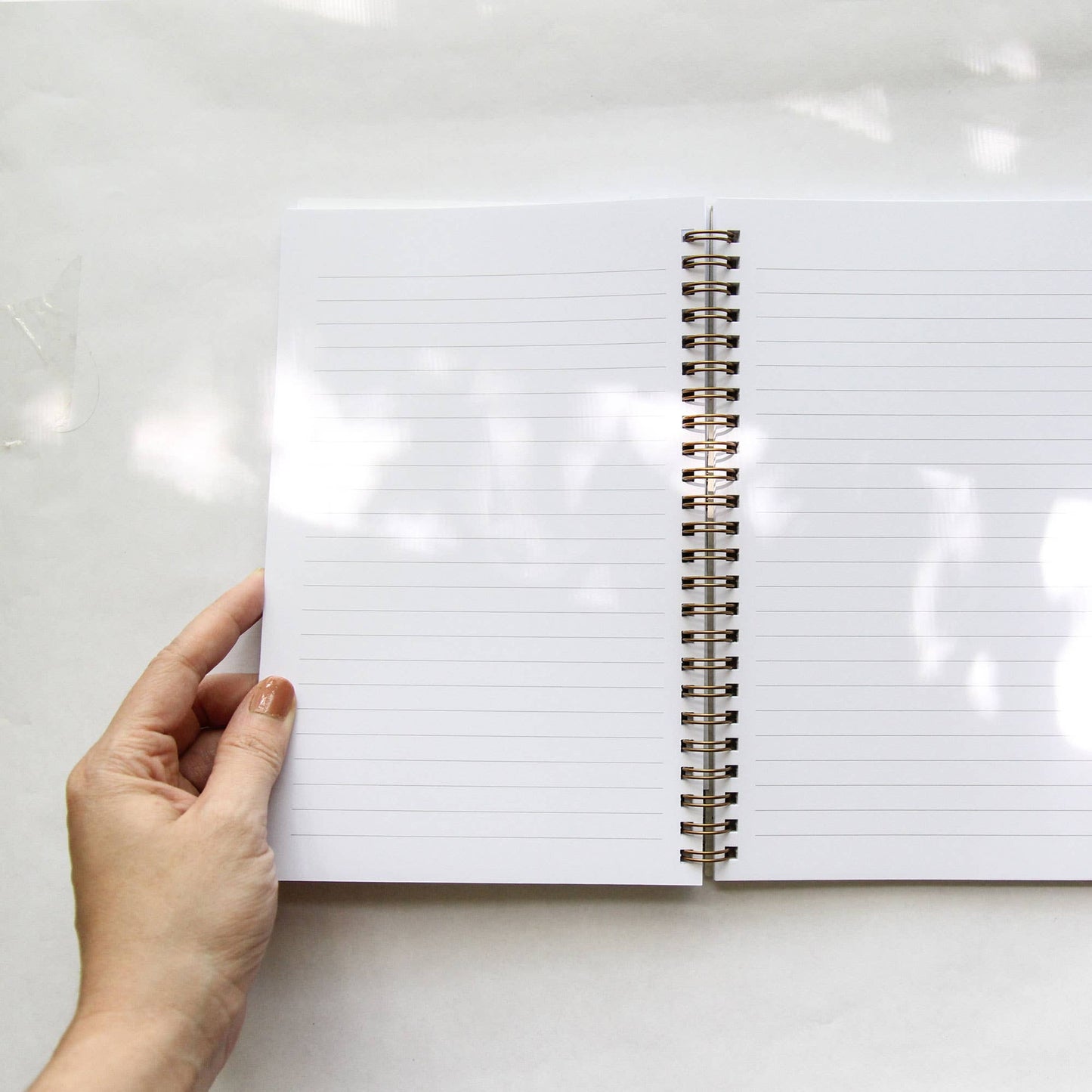 Butterfly + Moth Spiral Bound Notebook