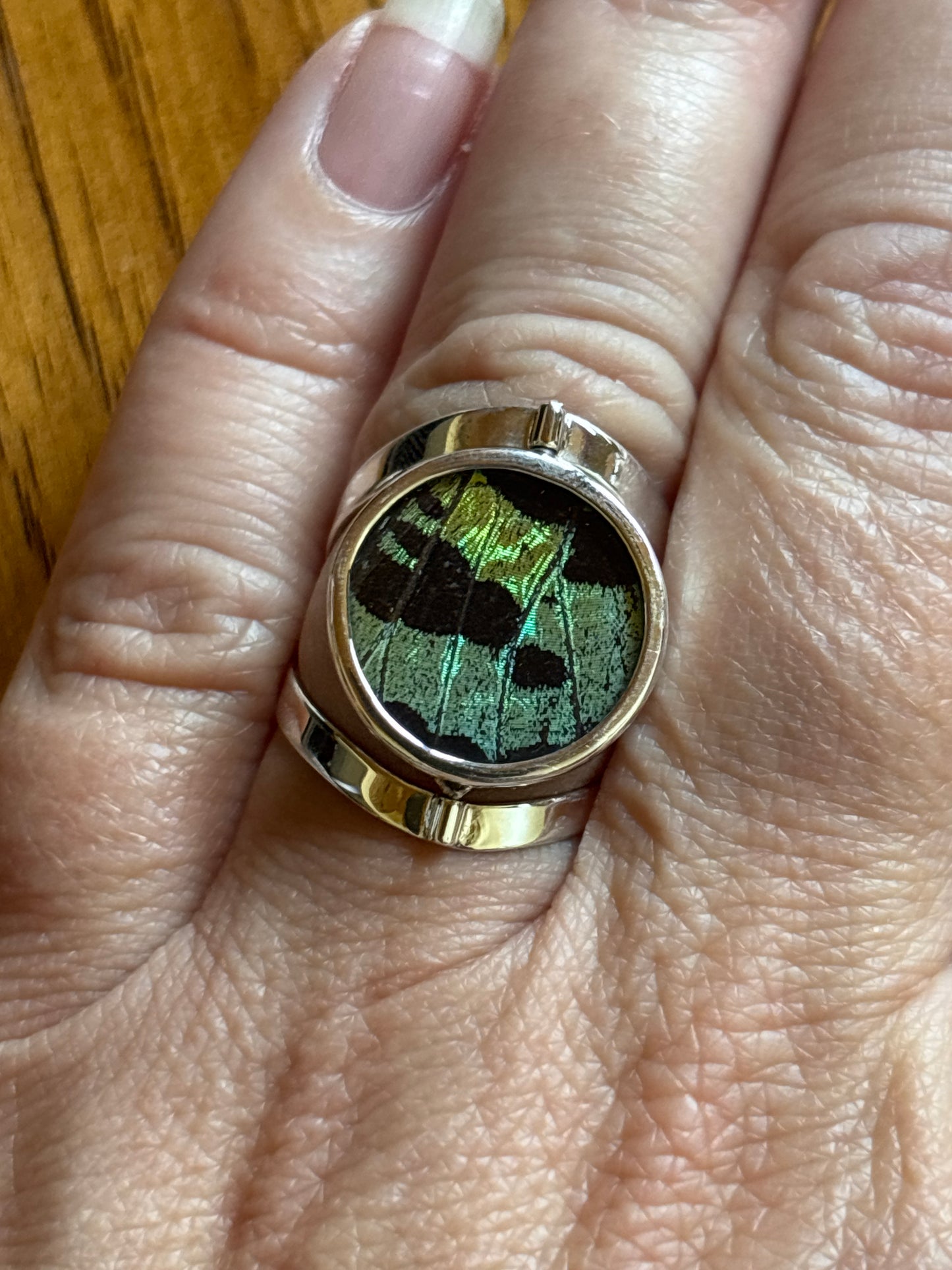 Butterfly Wing Rings | Adjustable