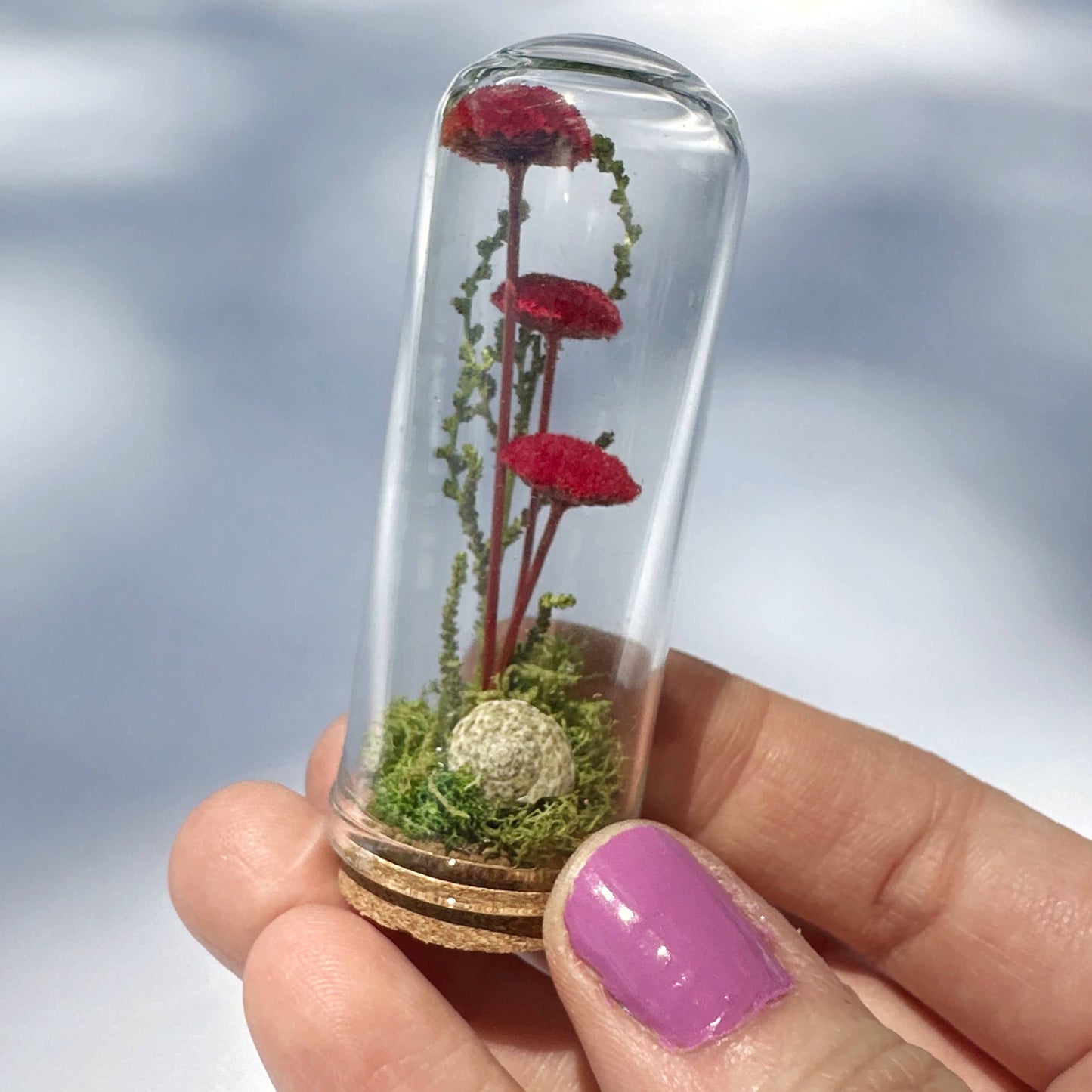 Mushroom Fields Mini Terrarium Desk Decor With Dried Florals