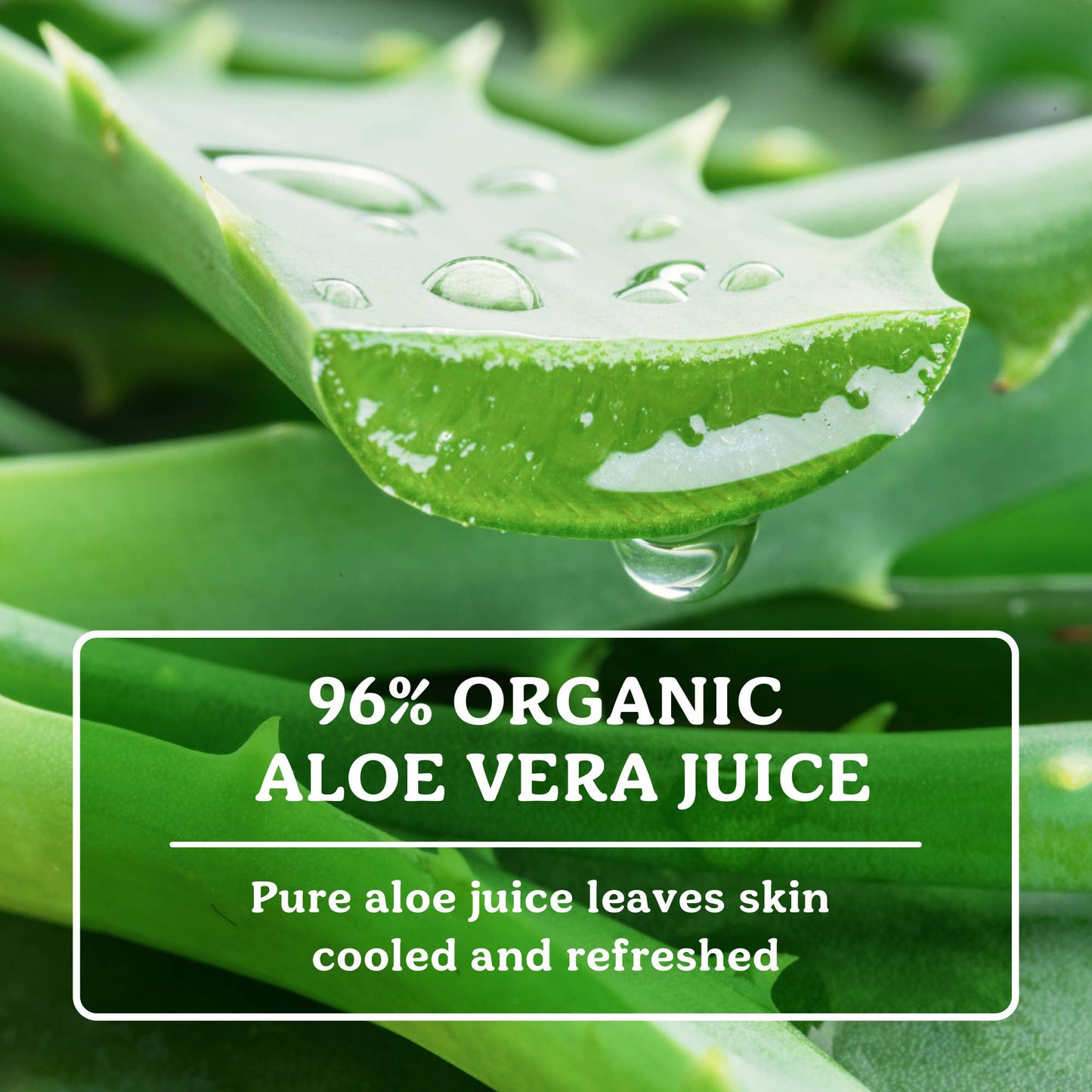 Badger Aloe Vera Gel for Face & Body, Sunburn Relief