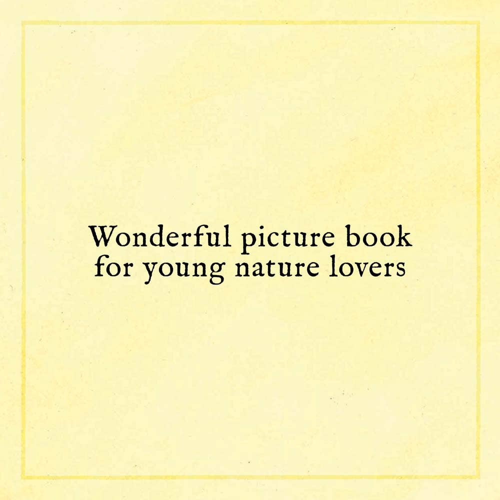 When You Find the Right Rock