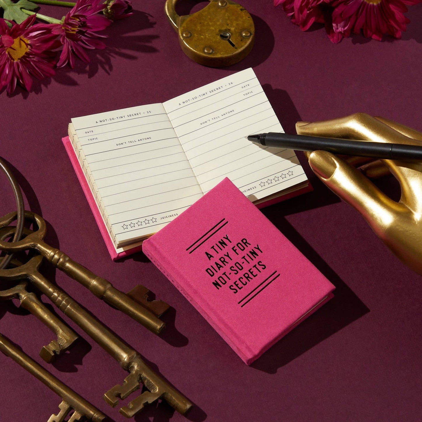 Tiny Diary for Not So Tiny Secrets