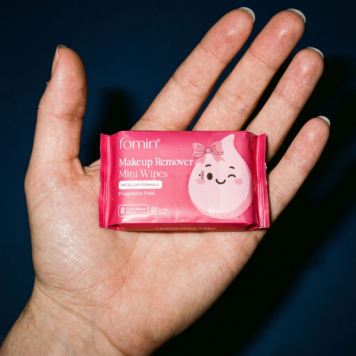 Make Up Remover Wipes | Micellar | Fragrance-Free | Travel Size