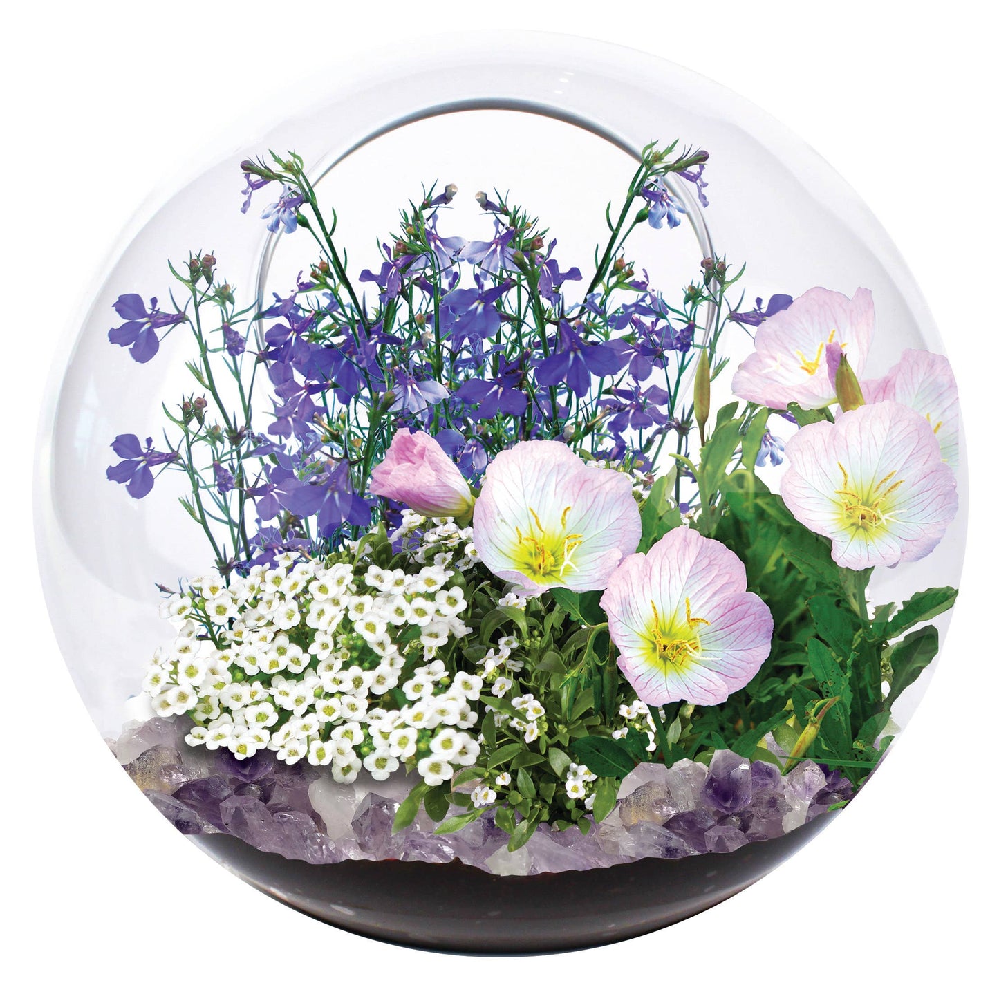 Mini Fairy Triad Glass Terrarium