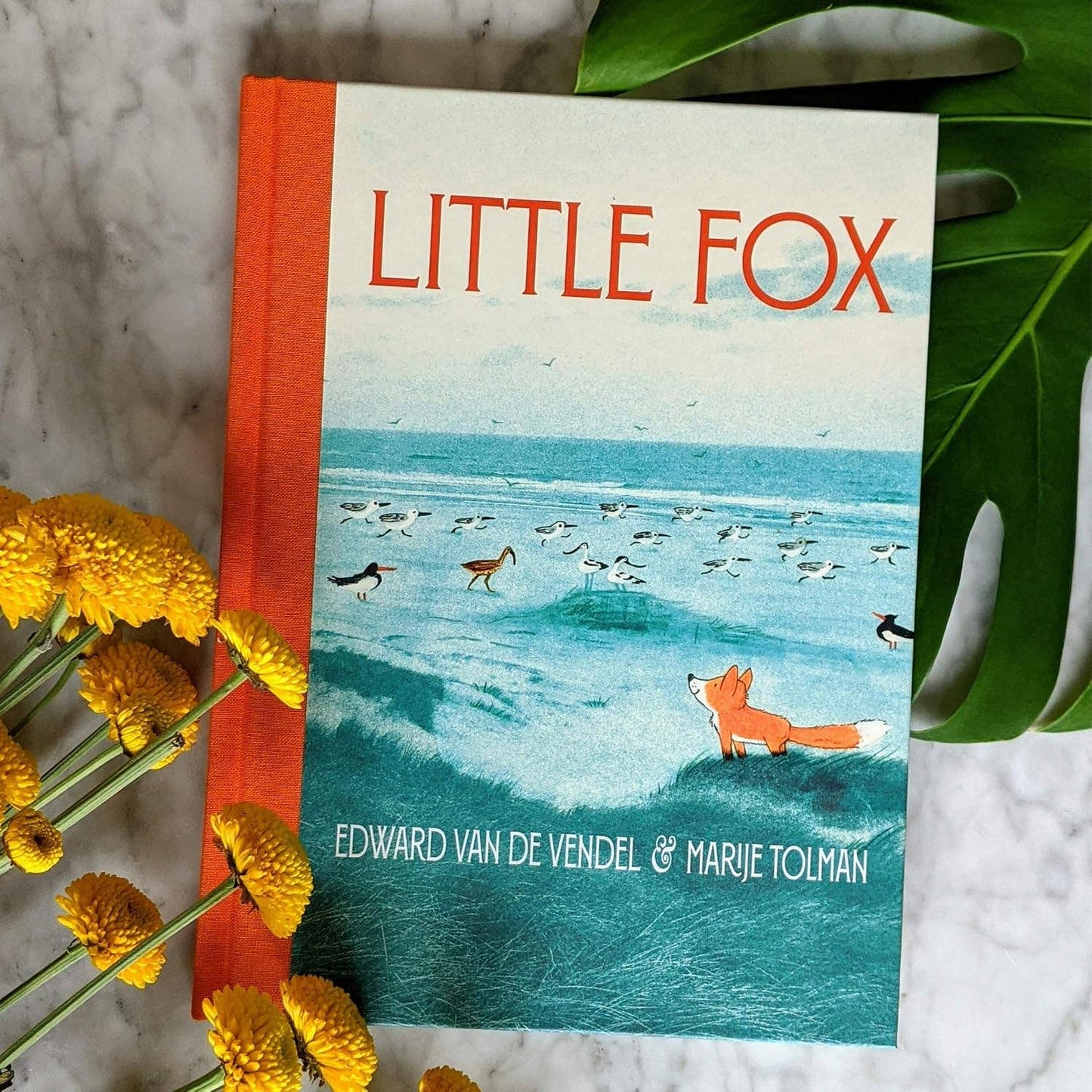 Little Fox