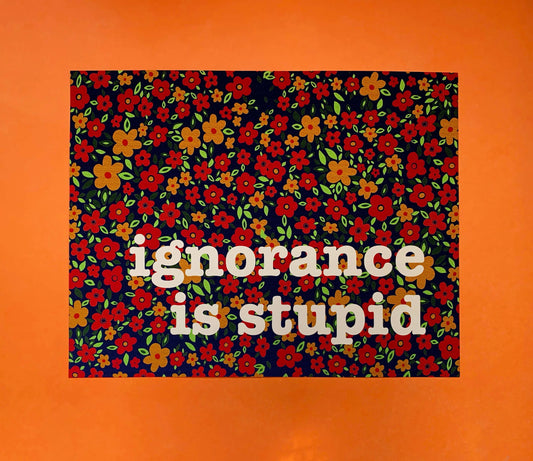 Ignorance Is Stupid - 11 X 14 Print