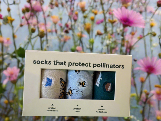 Boxed Set that Protect Pollinators | Conscious Step