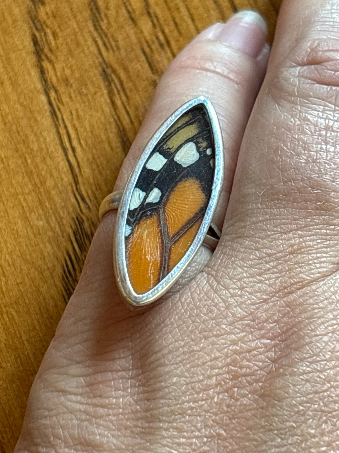 Butterfly Wing Rings | Adjustable