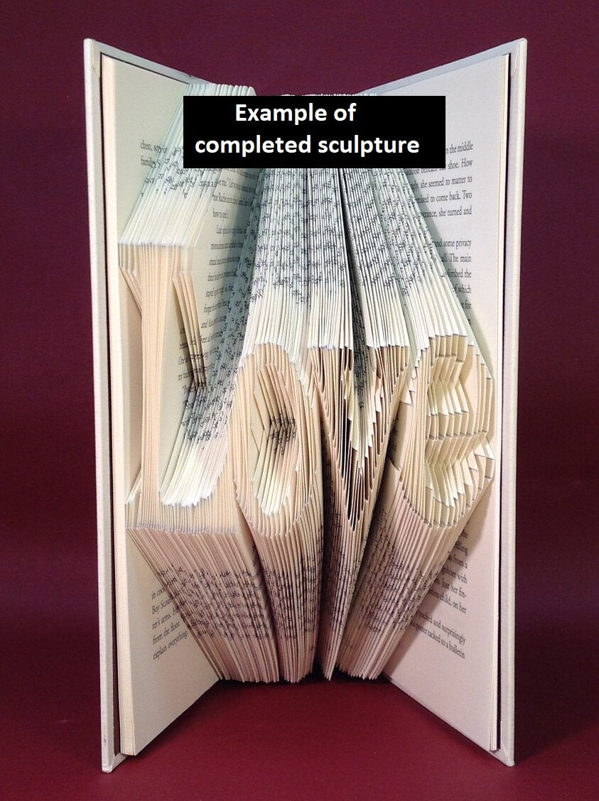 Sculpted Books