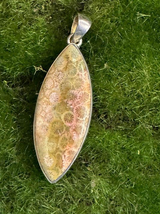 Fossil Coral Pendant