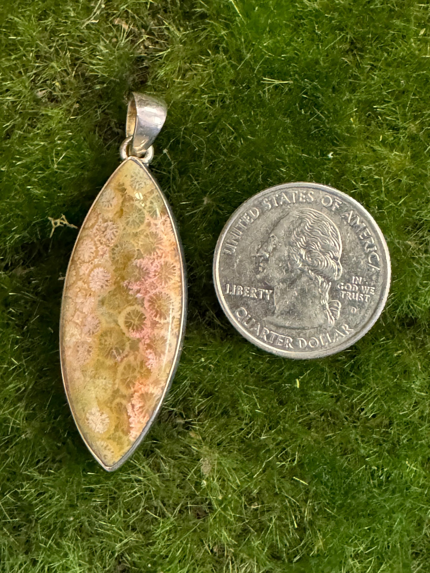 Fossil Coral Pendant