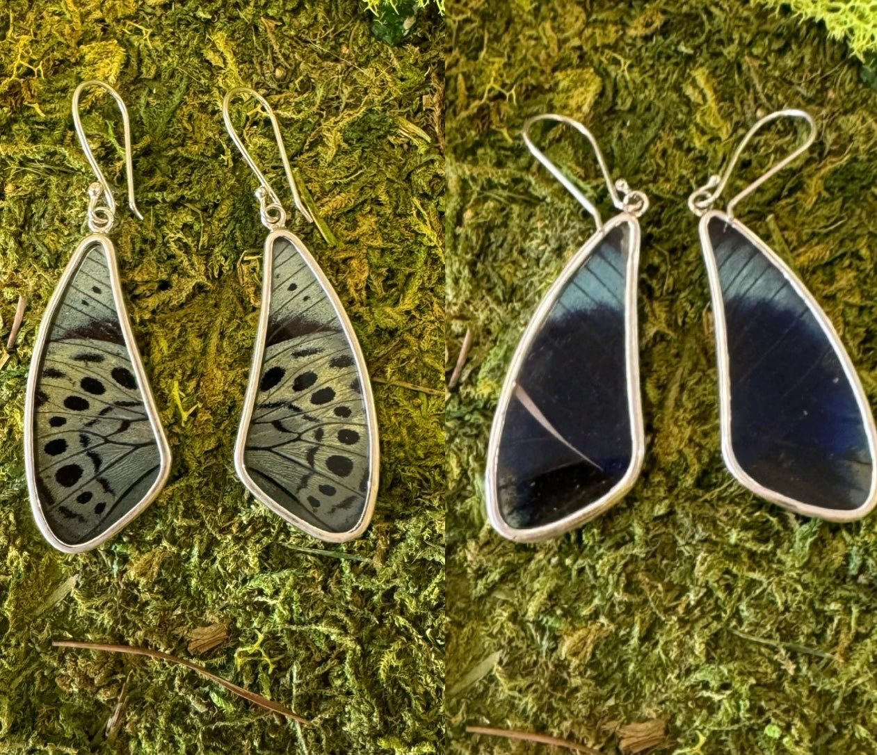 Butterfly Wing Earrings