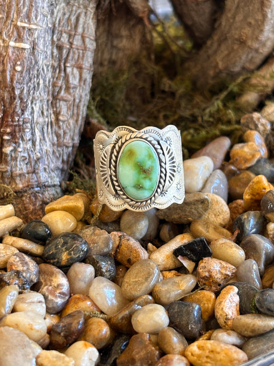 Sonoran Mountain Ring | Size 11