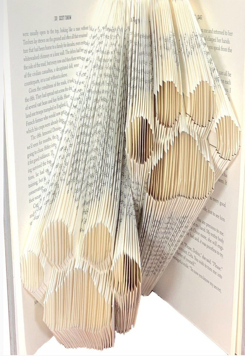 Sculpted Books