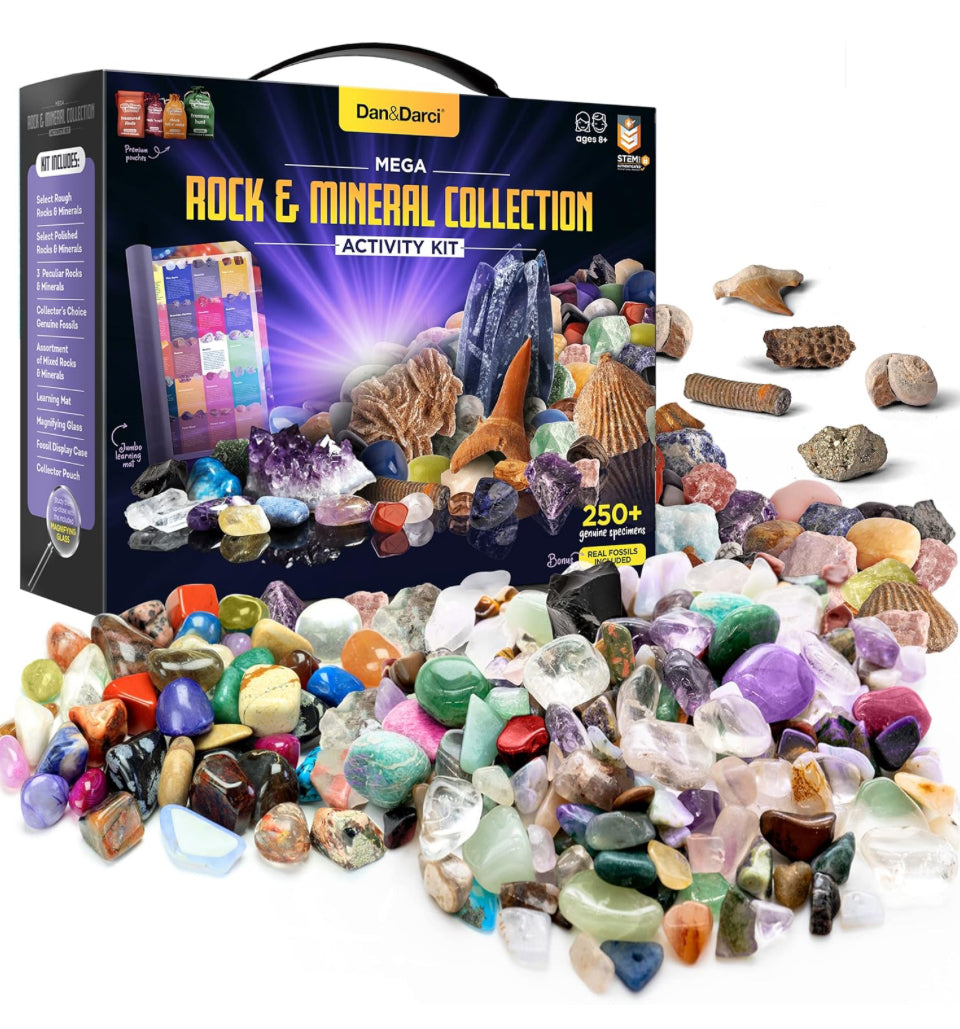 Rock, Fossil & Mineral Activity Kit