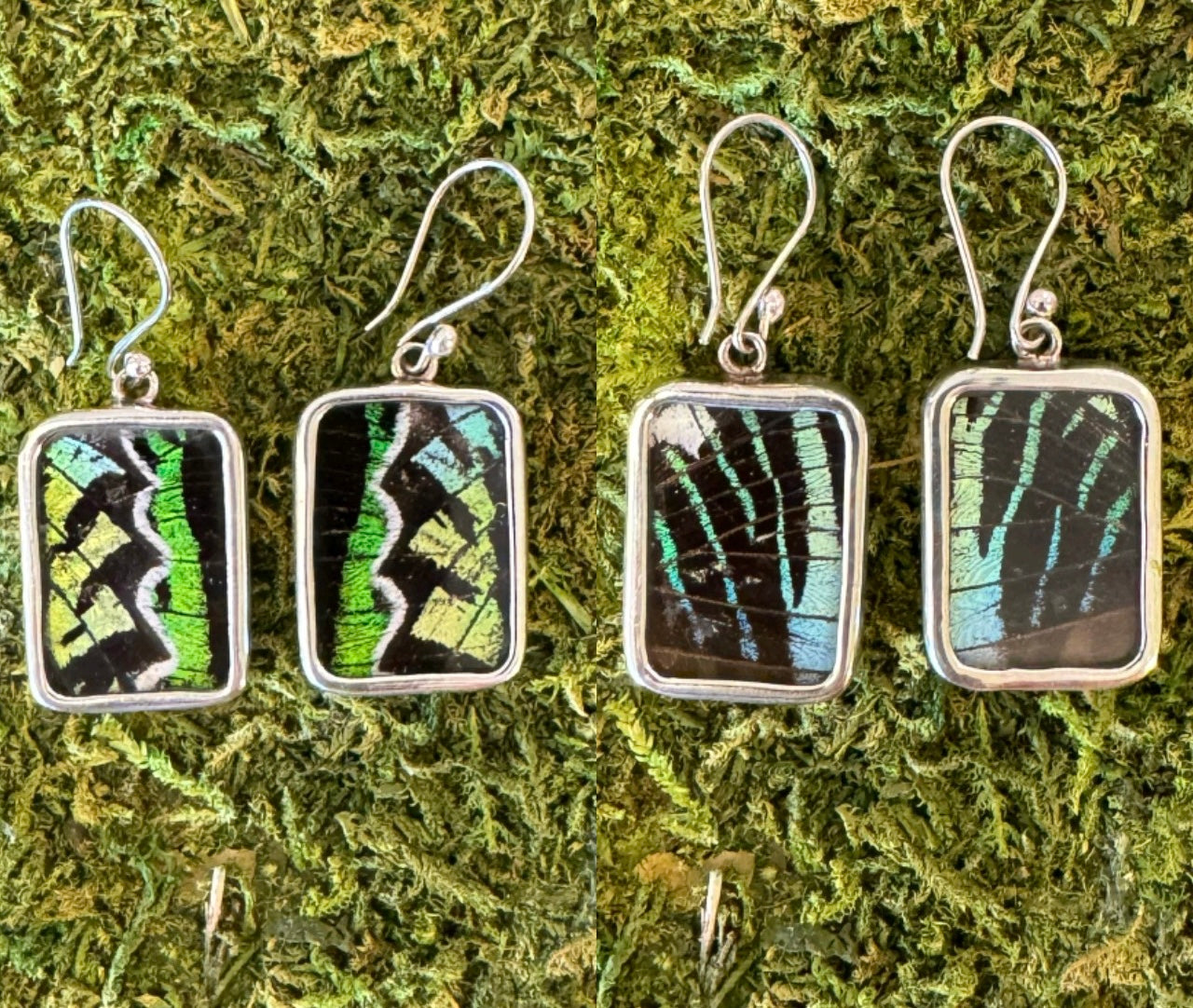 Butterfly Wing Earrings