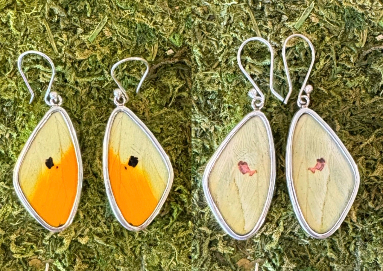 Butterfly Wing Earrings