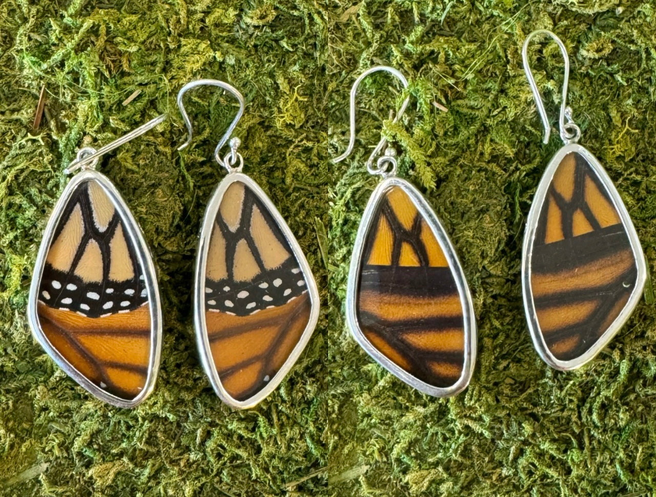 Butterfly Wing Earrings